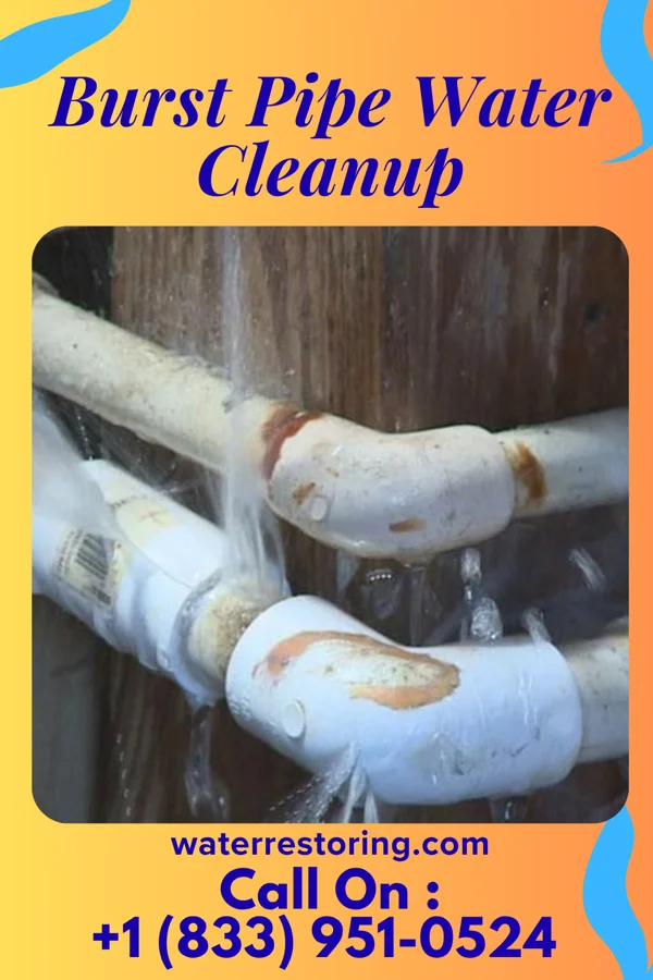 Burst Pipe Water Cleanup in Ilwaco, WA