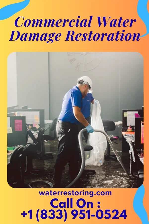 Commercial Water Damage Restoration in Ilwaco, WA