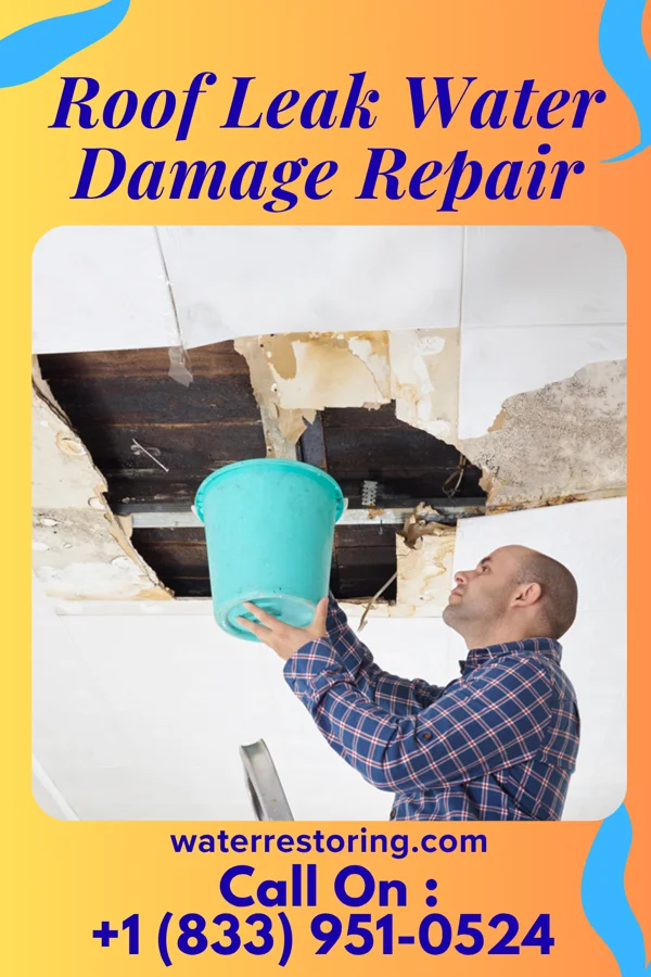 Roof Leak Water Damage Repair in Ilwaco, WA