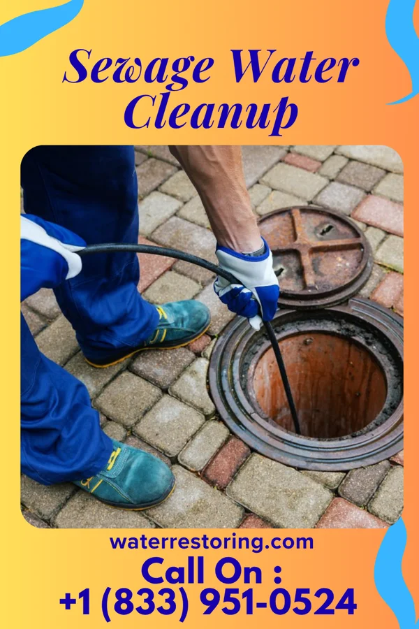 Sewage Water Cleanup in Ilwaco, WA