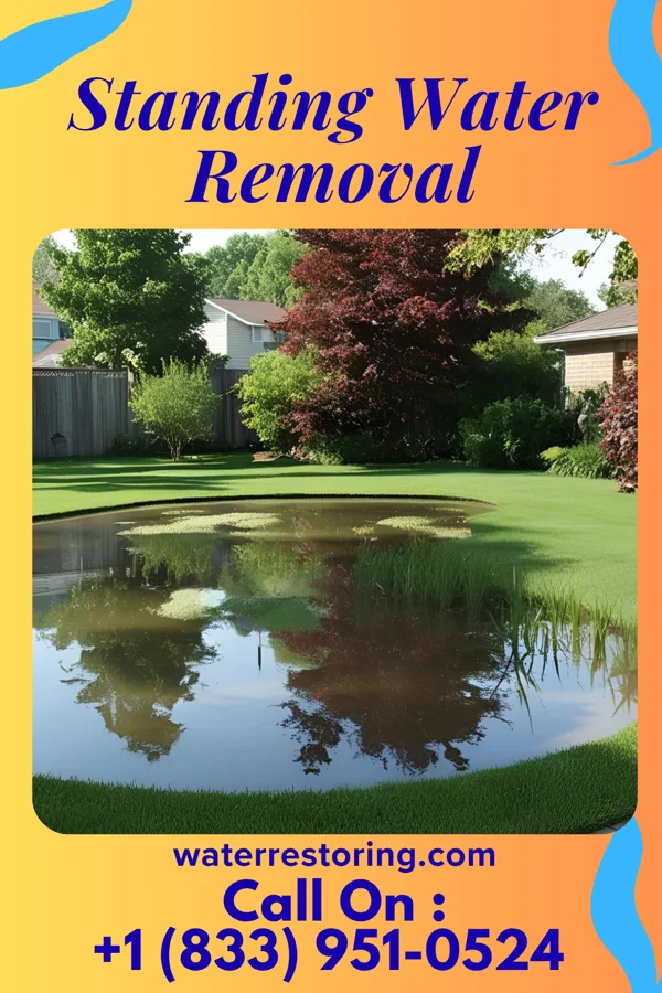 Standing Water Removal in Ilwaco, WA
